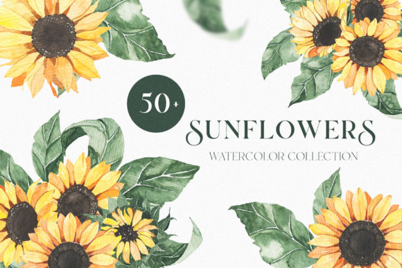 Download Watercolor Sunflowers Collection - Flowers Collection