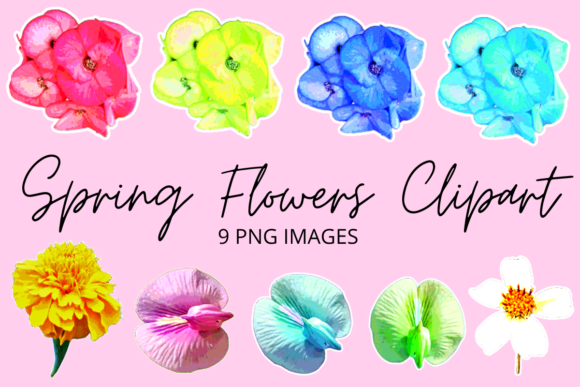 Download Colourful Spring Flowers Clipart Set - Flowers Collection